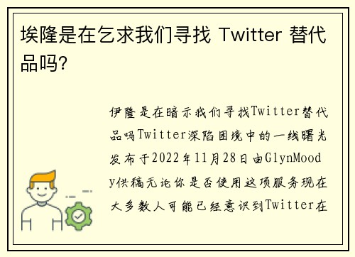 埃隆是在乞求我们寻找 Twitter 替代品吗？ 